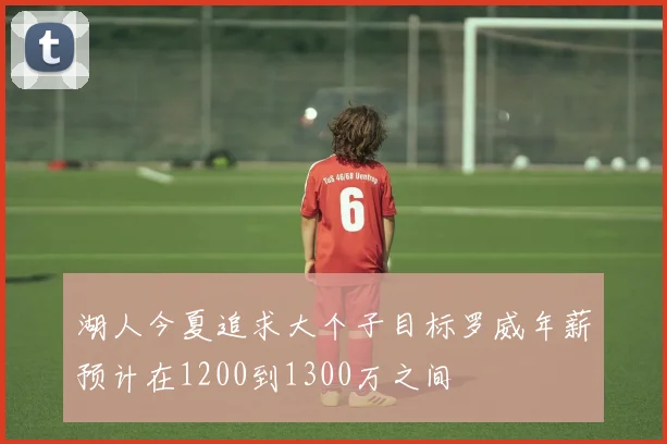 湖人今夏追求大个子目标罗威年薪预计在1200到1300万之间